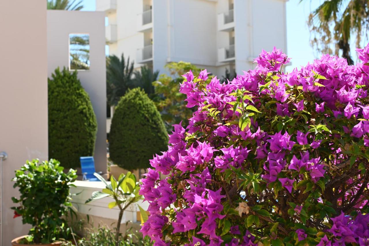 Отдыхайте С Удовольствием Paphos Eksteriør billede